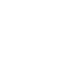 Berufserfahrene Icon von einer Urkunde